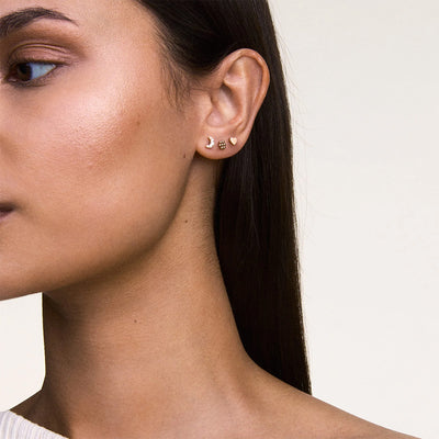 Daniel Wellington Jewelries Micro Earrings Earrings