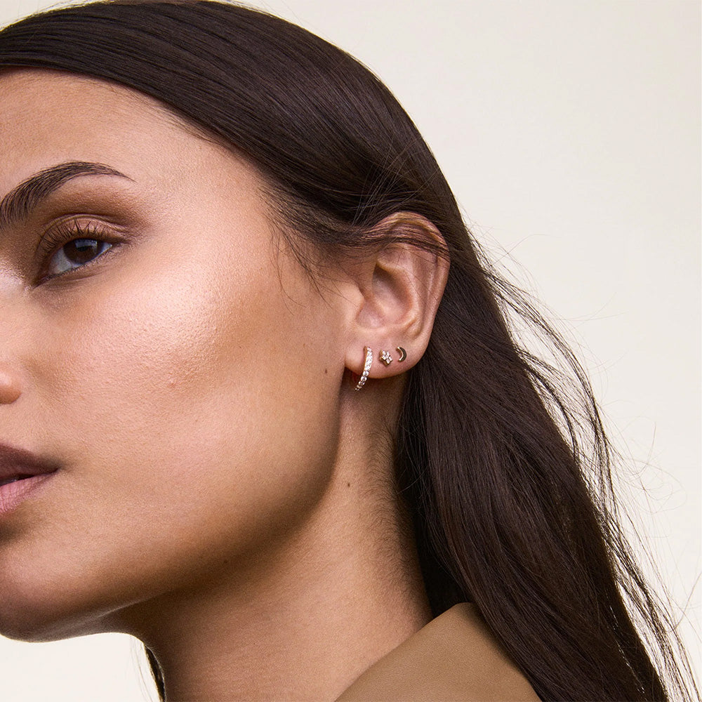 Daniel Wellington Jewelries Micro Earrings Earrings