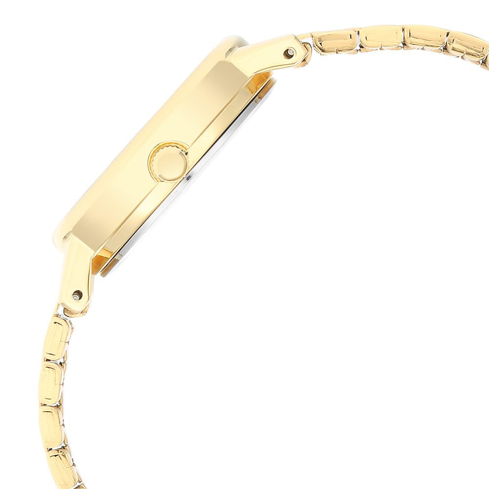 NOT FOR SALE Gwp  38mm Stainless Steel Band