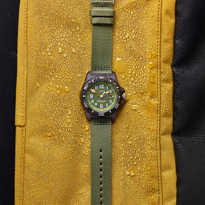 Timex Expedition North Freedive Date 46mm Acetate Band