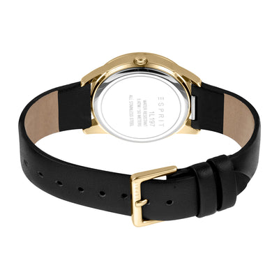 Daphne Date 34mm Leather Band