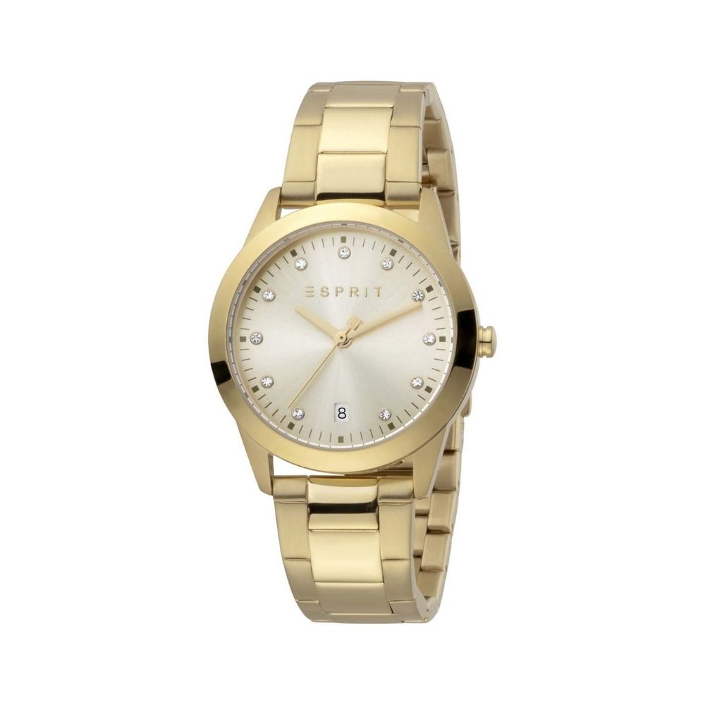 Daphne Date 34mm Stainless Steel Band