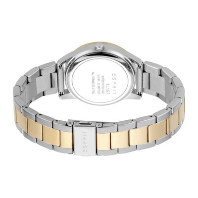 Daphne Date 34mm Stainless Steel Band